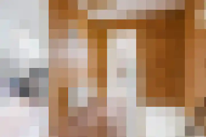 Alde Dyk 34 Terwispel thumbnail 44