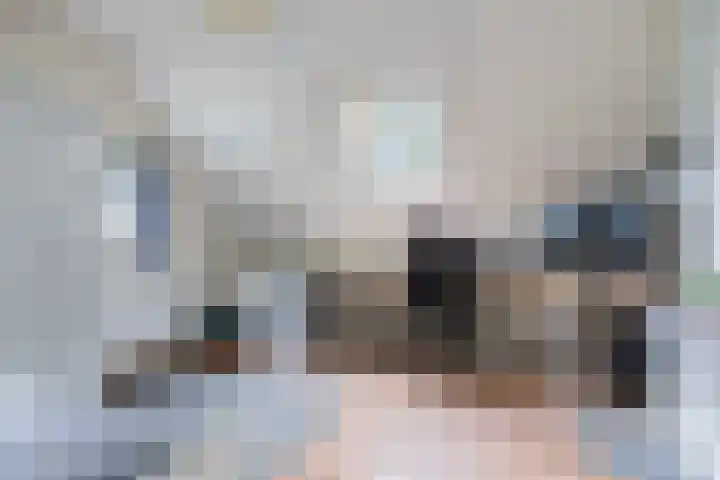 Alde Dyk 34 Terwispel thumbnail 46