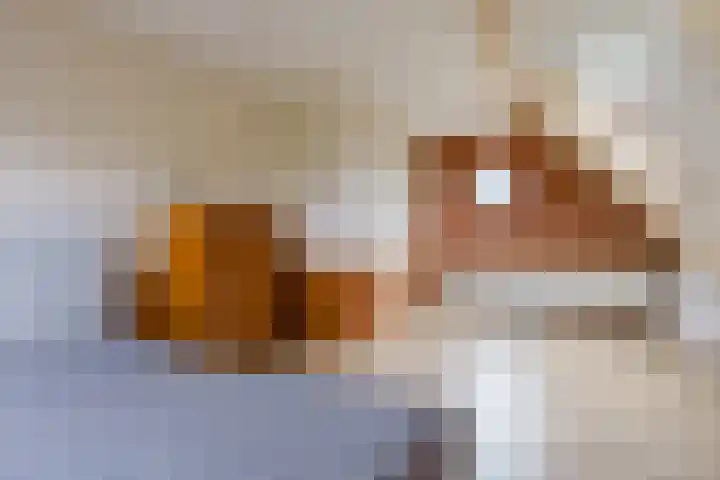 Alde Dyk 34 Terwispel thumbnail 49
