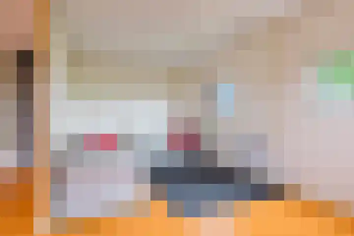 Alde Dyk 34 Terwispel thumbnail 56