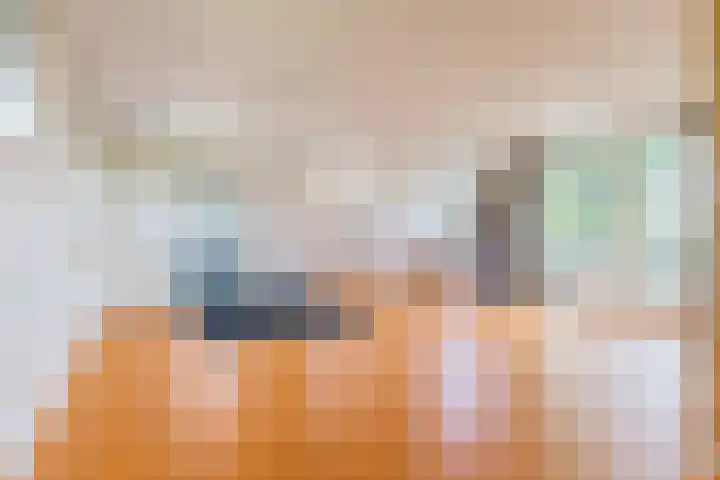 Alde Dyk 34 Terwispel thumbnail 58