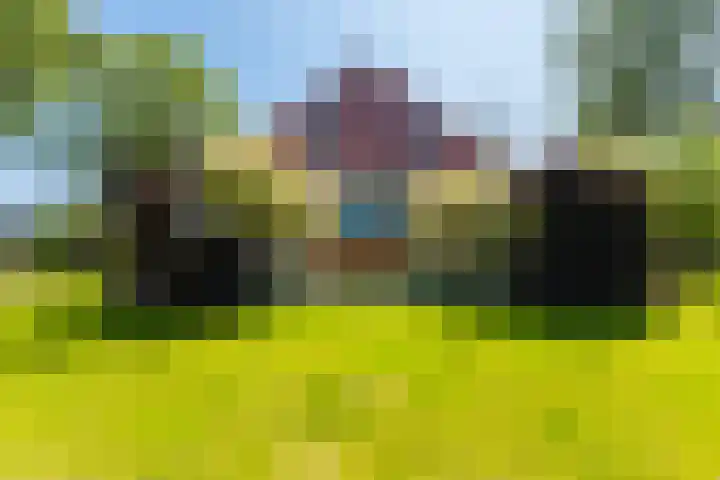 Alde Dyk 34 Terwispel thumbnail 9