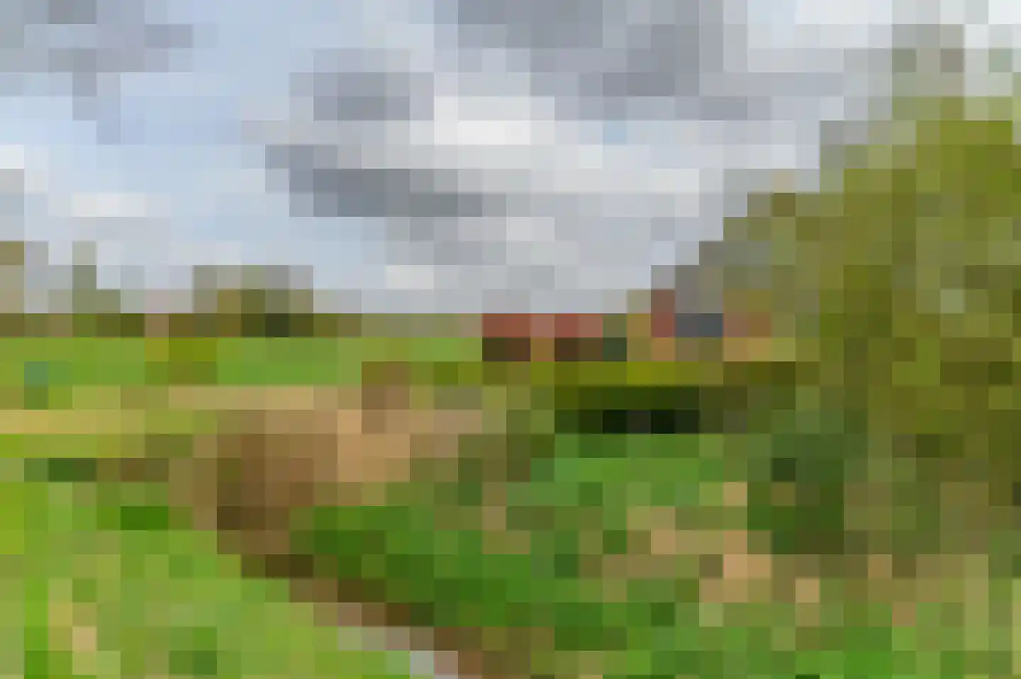 Alde Dyk 39 Terwispel thumbnail 10