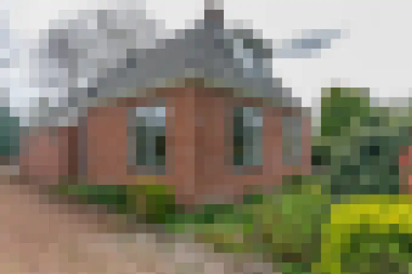 Alde Dyk 39 Terwispel thumbnail 12