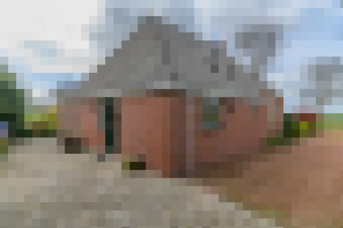 Alde Dyk 39 Terwispel thumbnail 16