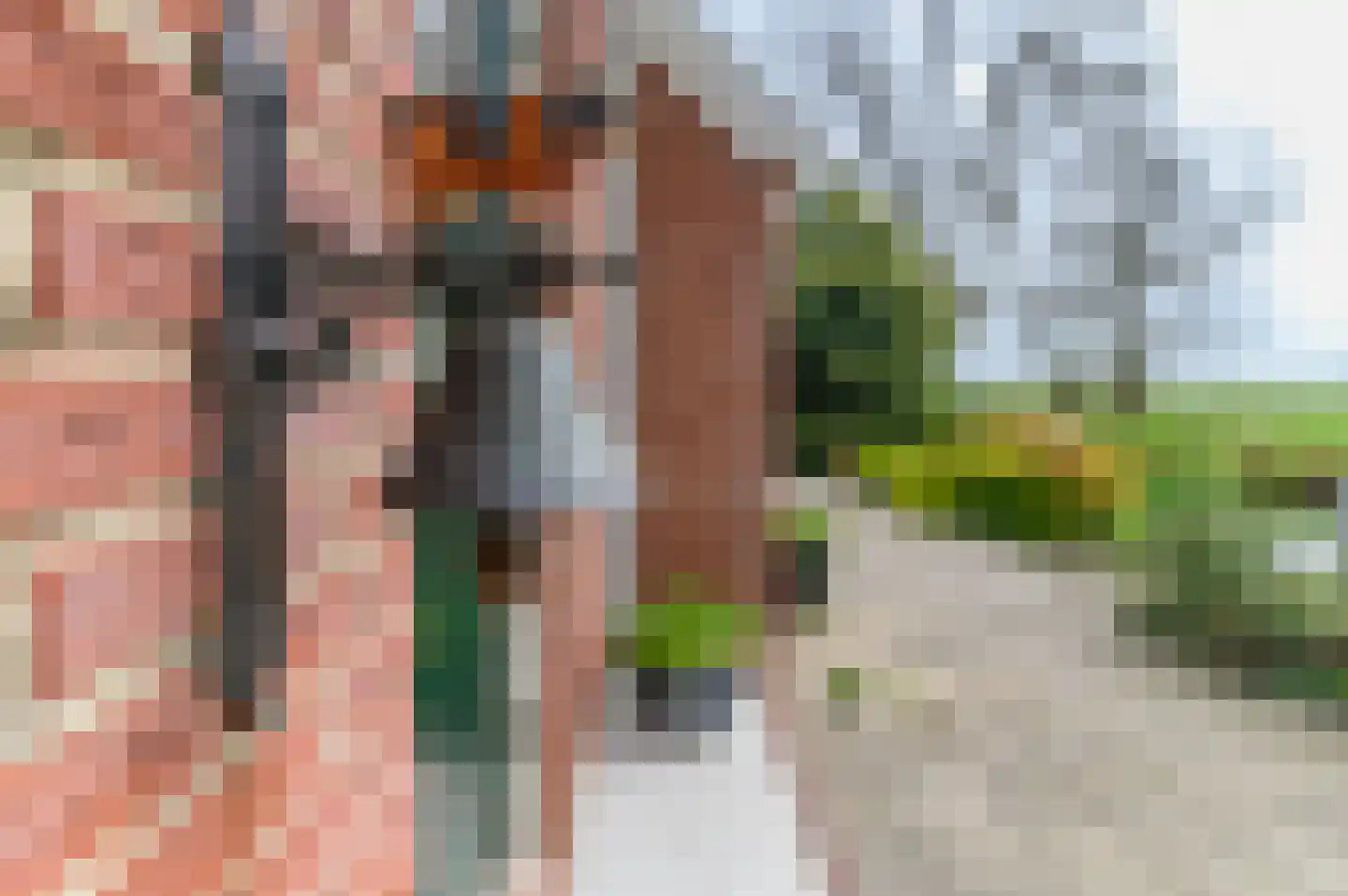 Alde Dyk 39 Terwispel thumbnail 19