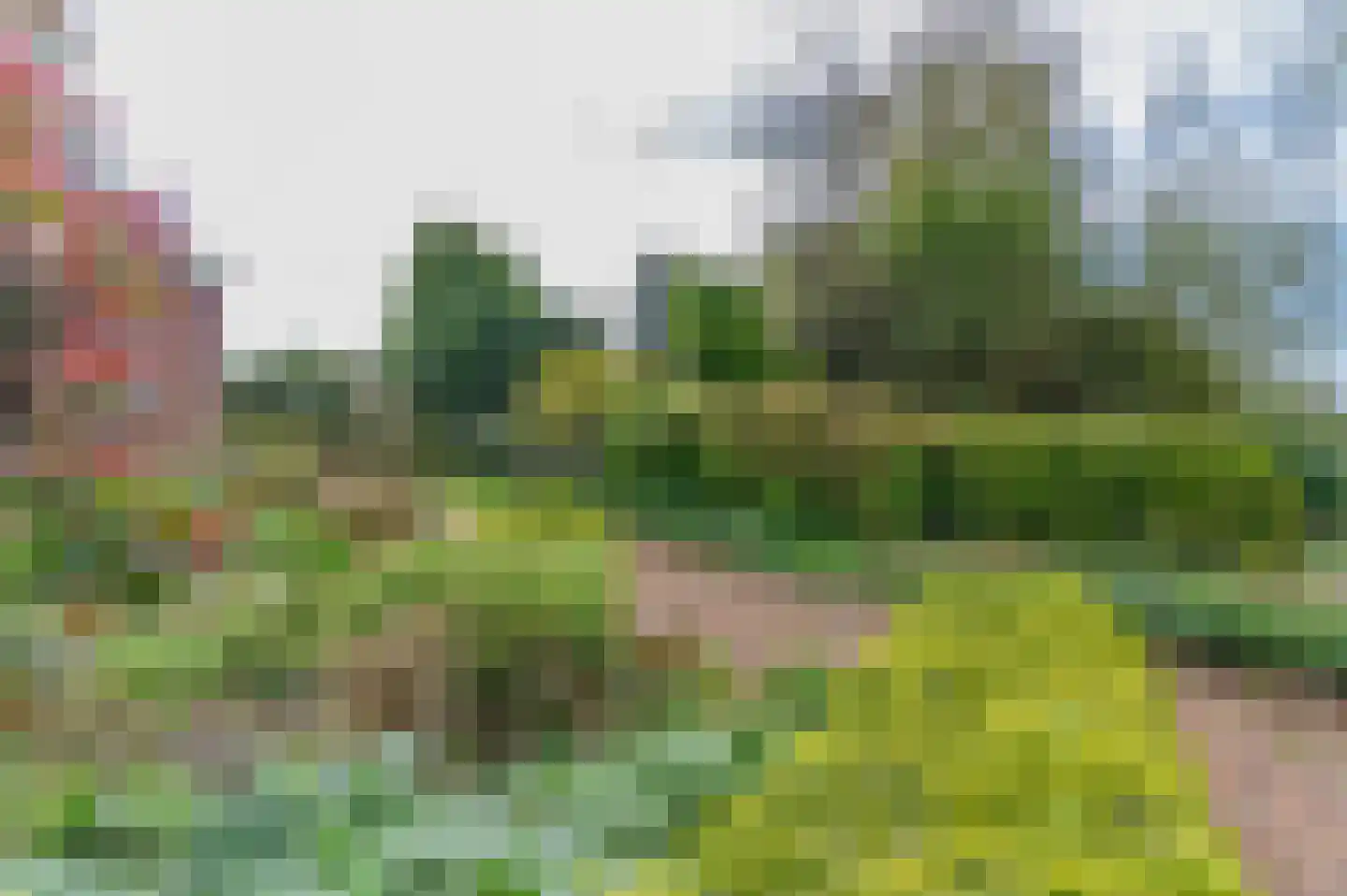 Alde Dyk 39 Terwispel thumbnail 20
