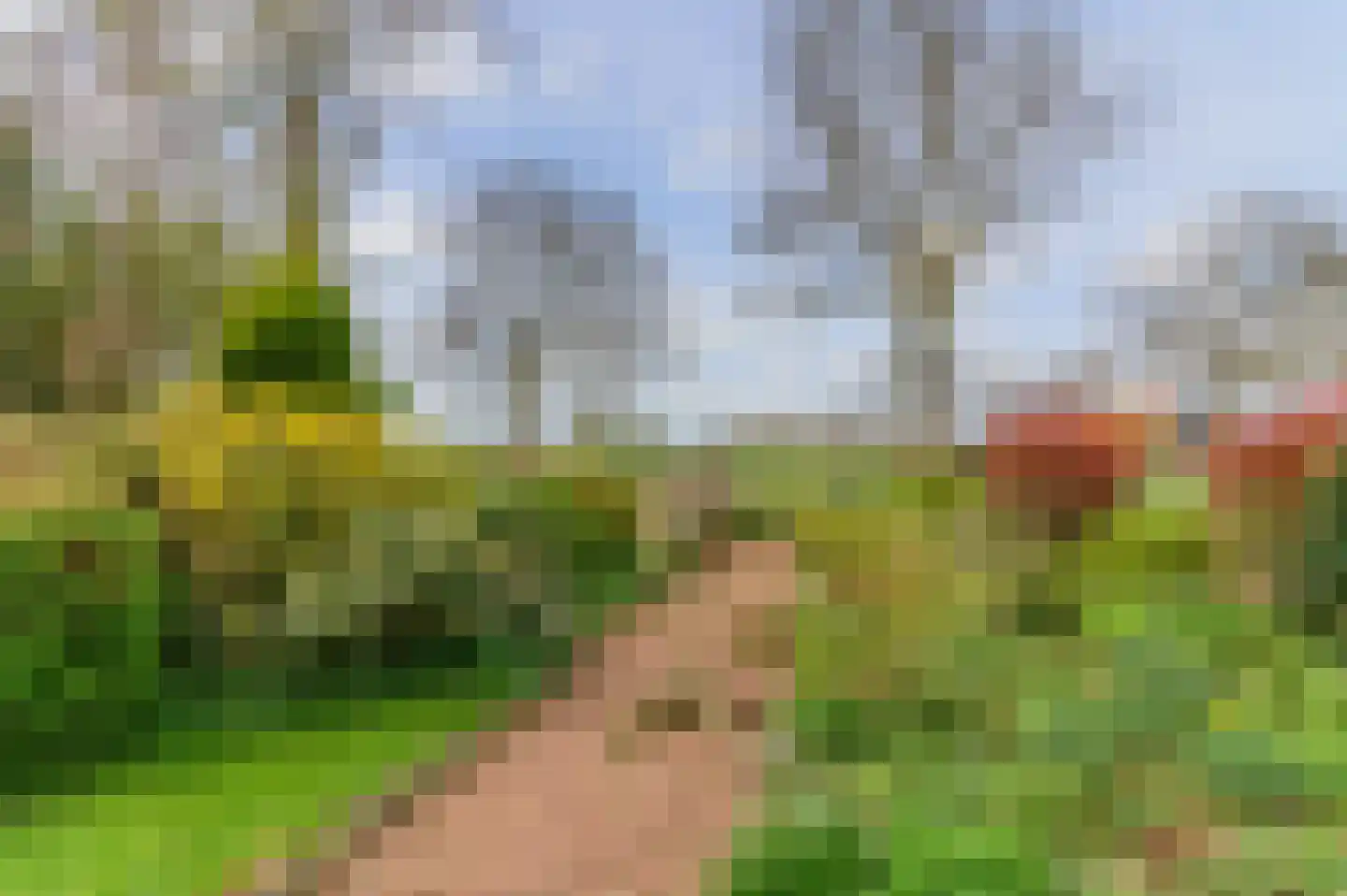 Alde Dyk 39 Terwispel thumbnail 21