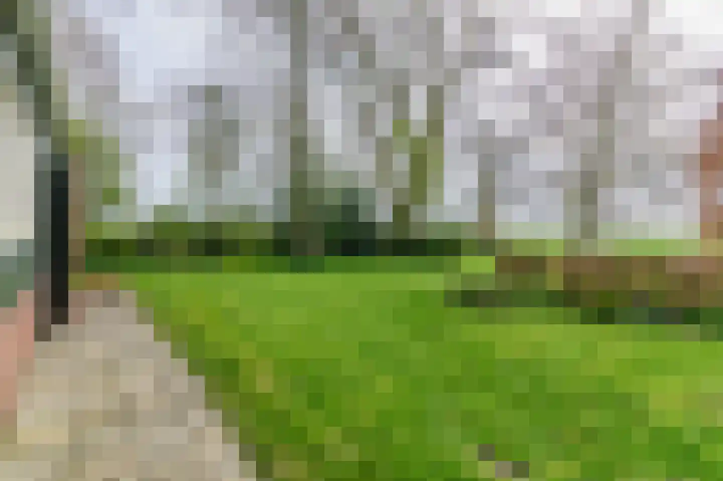 Alde Dyk 39 Terwispel thumbnail 22