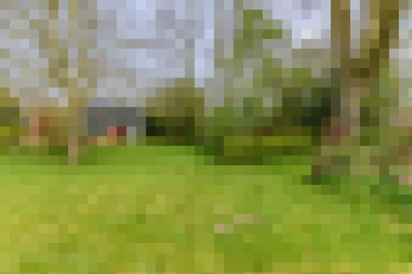 Alde Dyk 39 Terwispel thumbnail 25