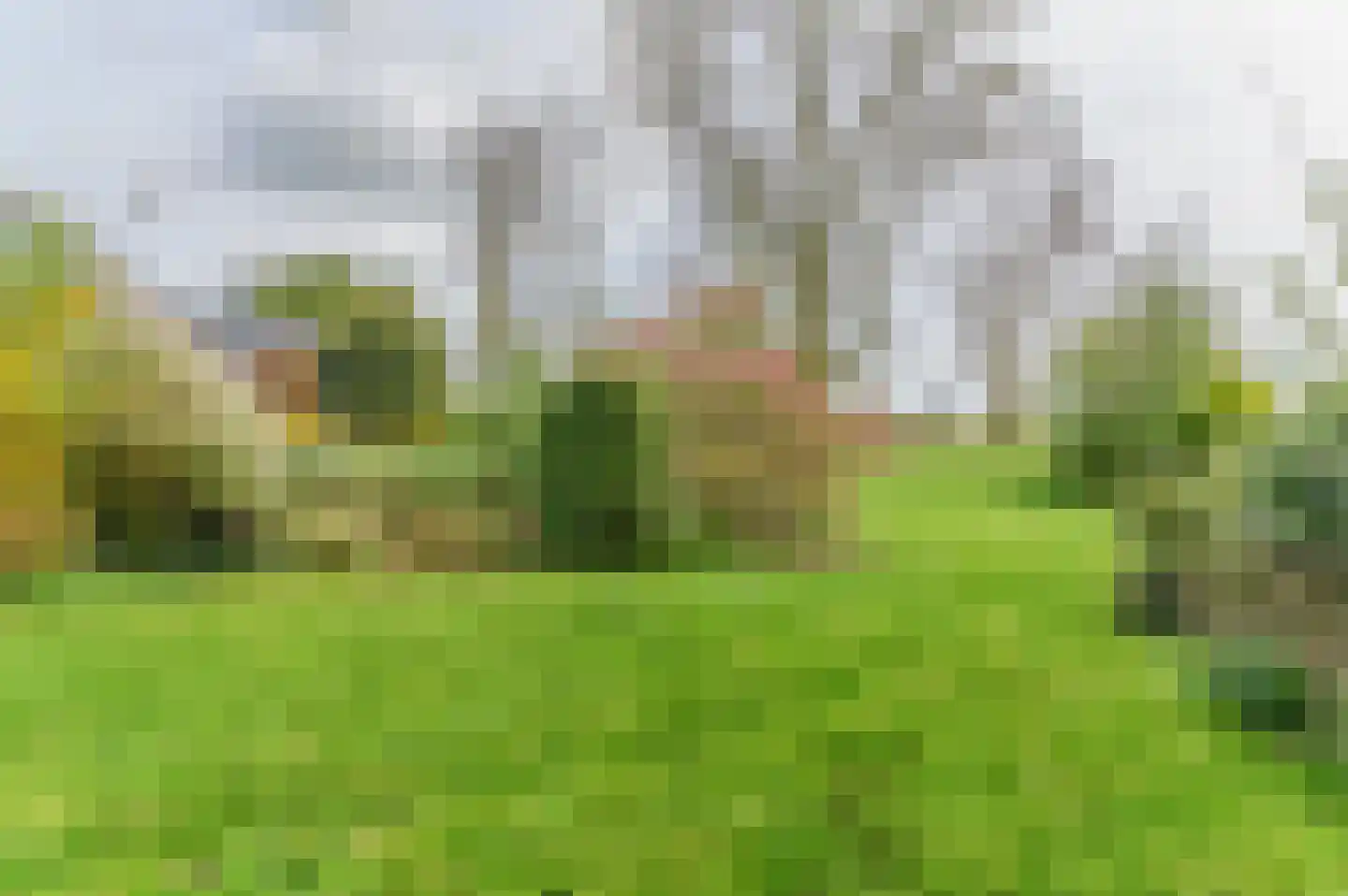 Alde Dyk 39 Terwispel thumbnail 26