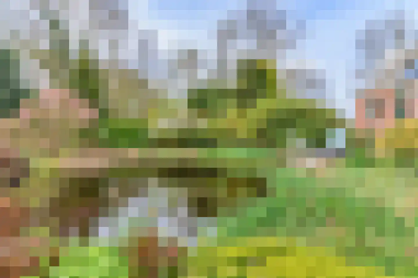Alde Dyk 39 Terwispel thumbnail 27