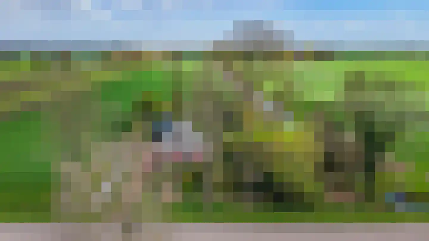 Alde Dyk 39 Terwispel thumbnail 30