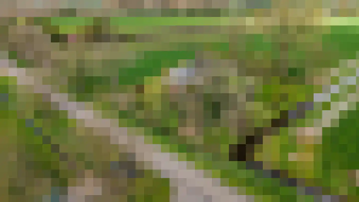 Alde Dyk 39 Terwispel thumbnail 31