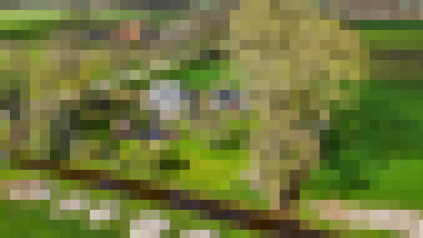 Alde Dyk 39 Terwispel thumbnail 32