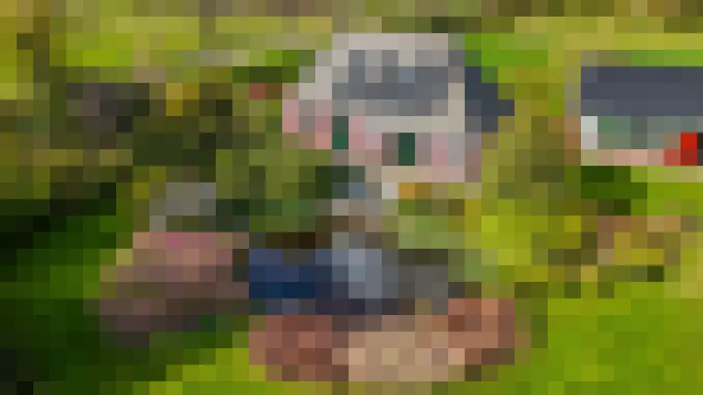 Alde Dyk 39 Terwispel thumbnail 33