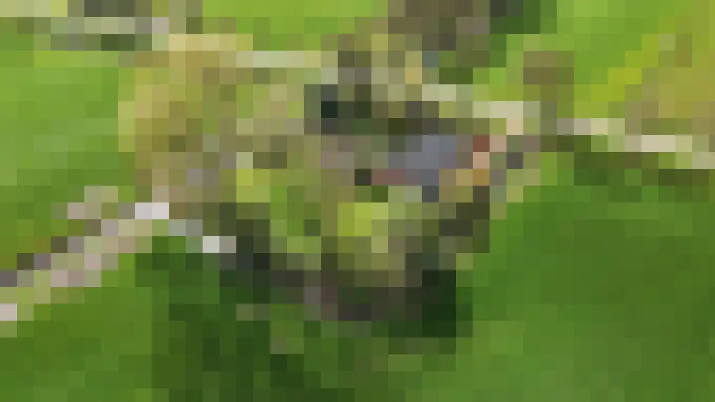Alde Dyk 39 Terwispel thumbnail 34
