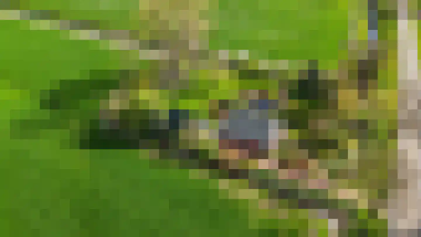Alde Dyk 39 Terwispel thumbnail 35