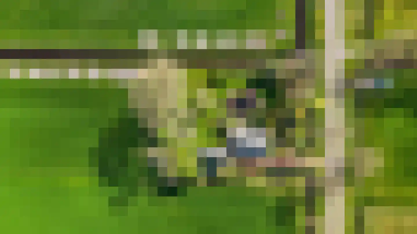 Alde Dyk 39 Terwispel thumbnail 36