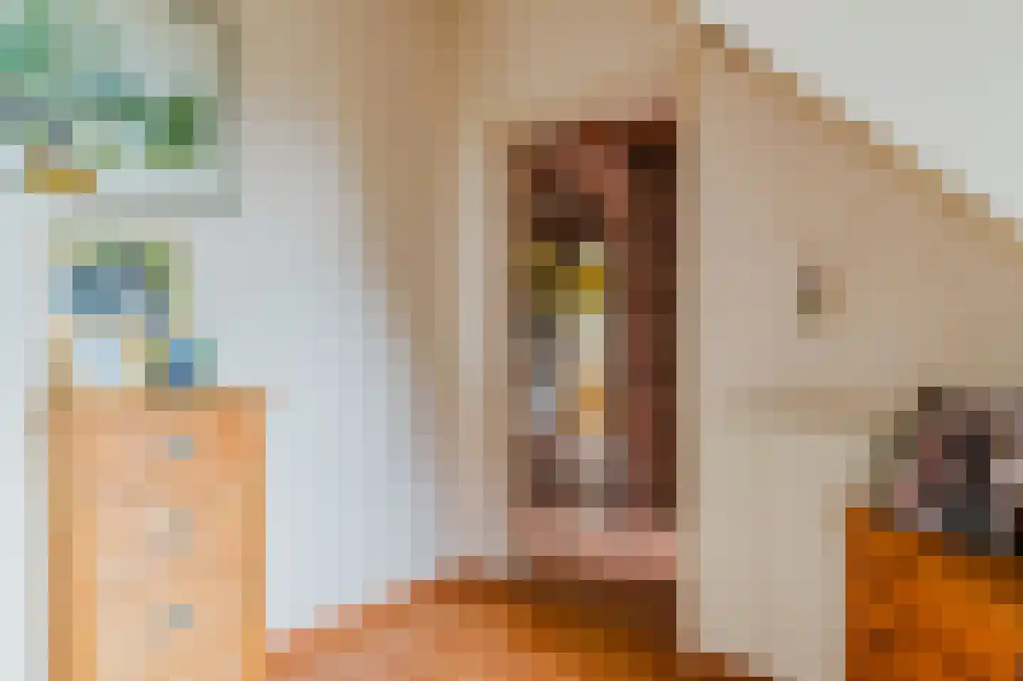 Alde Dyk 39 Terwispel thumbnail 39