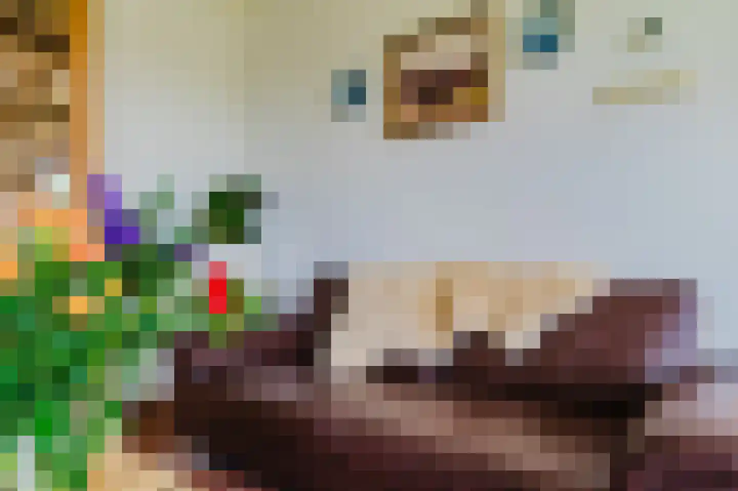 Alde Dyk 39 Terwispel thumbnail 43