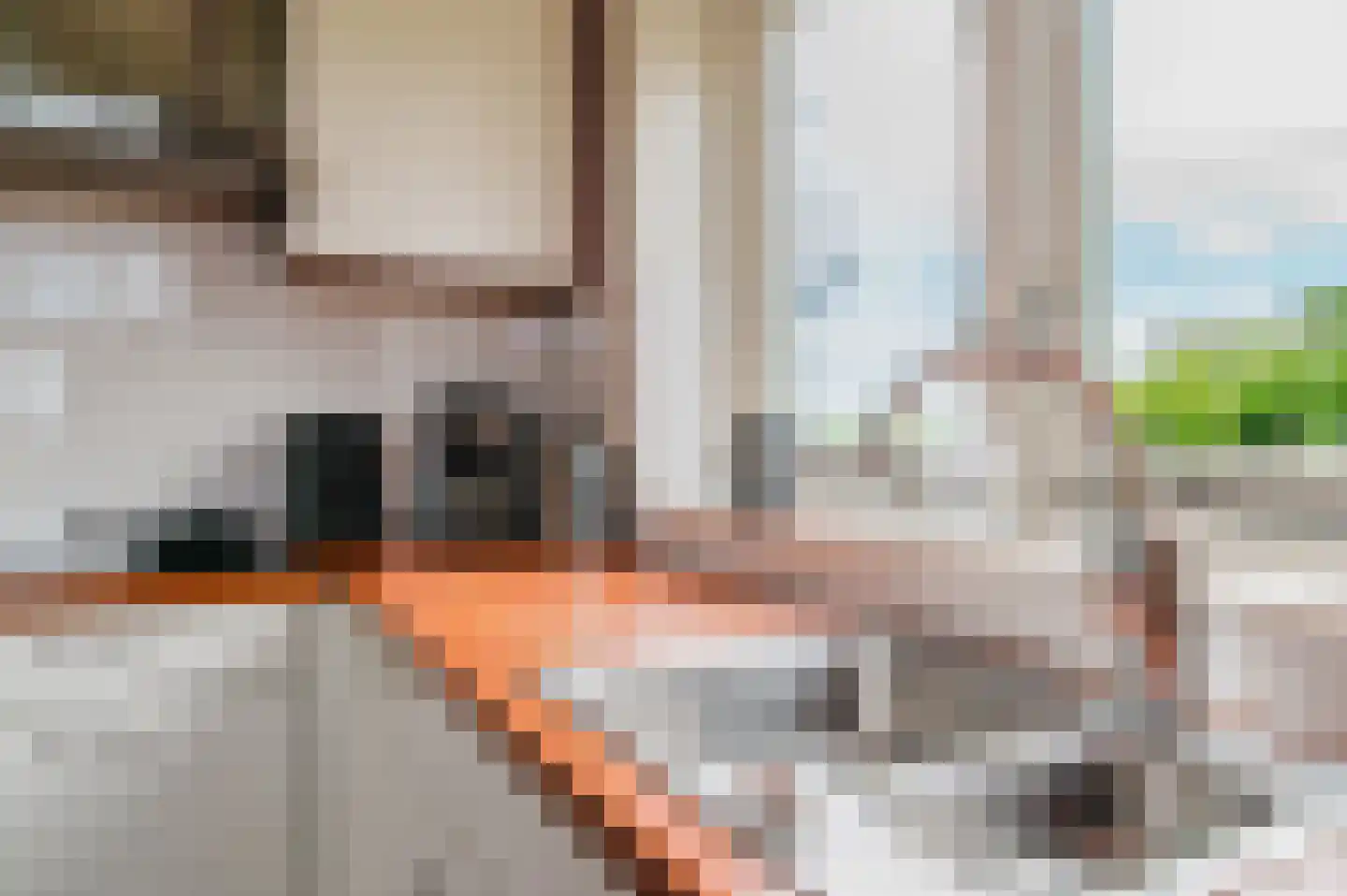 Alde Dyk 39 Terwispel thumbnail 48