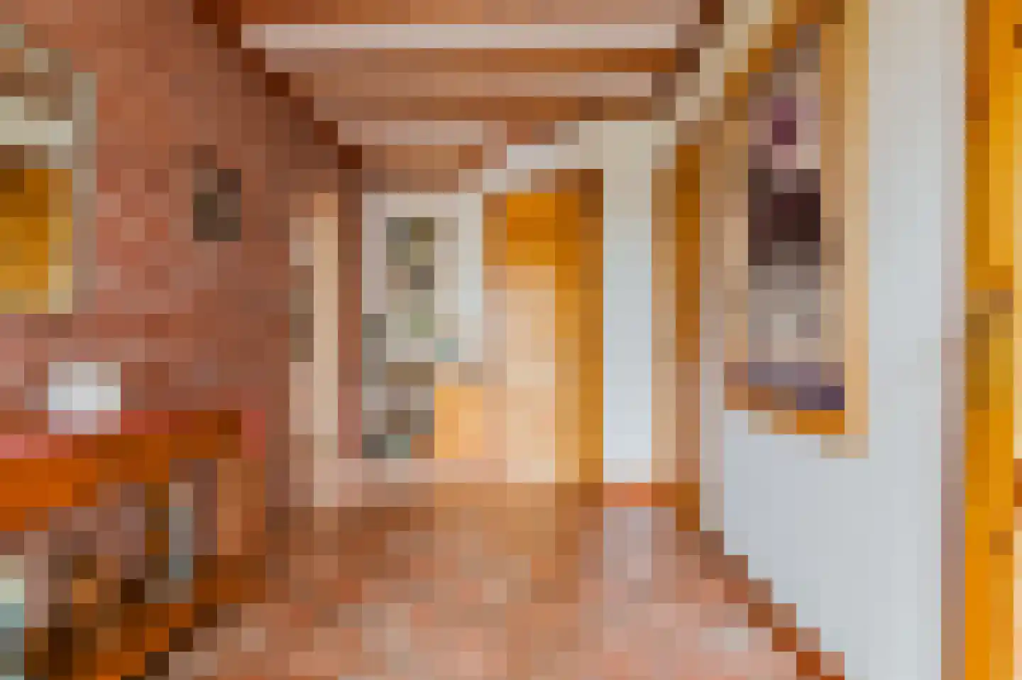 Alde Dyk 39 Terwispel thumbnail 50