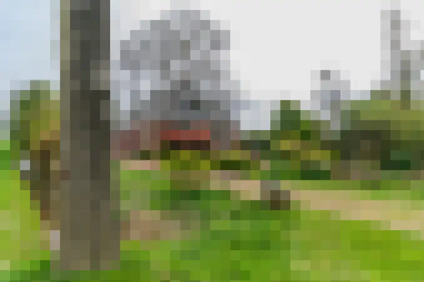 Alde Dyk 39 Terwispel thumbnail 8