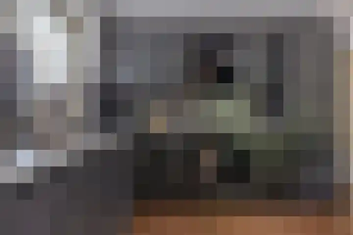 Alde Galeien 1 Boelenslaan thumbnail 12