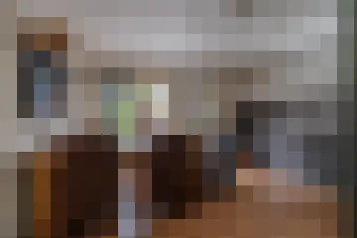 Alde Galeien 1 Boelenslaan thumbnail 13