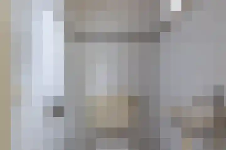 Alde Galeien 1 Boelenslaan thumbnail 15