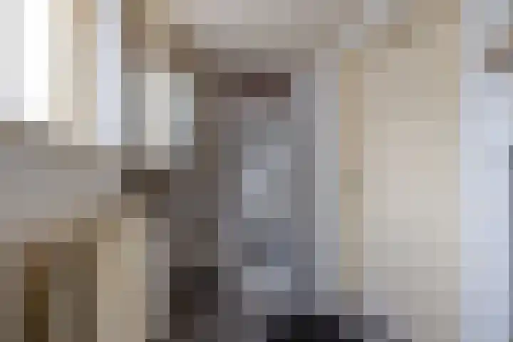Alde Galeien 1 Boelenslaan thumbnail 16