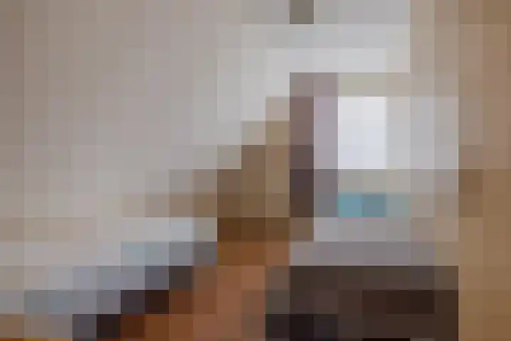 Alde Galeien 1 Boelenslaan thumbnail 19
