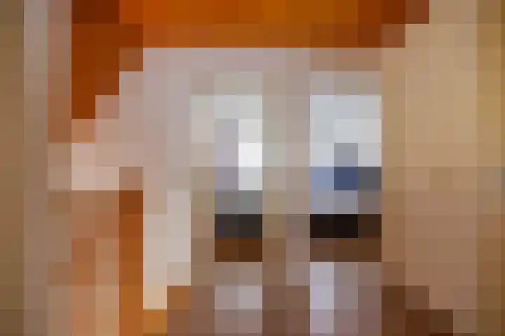 Alde Galeien 1 Boelenslaan thumbnail 24