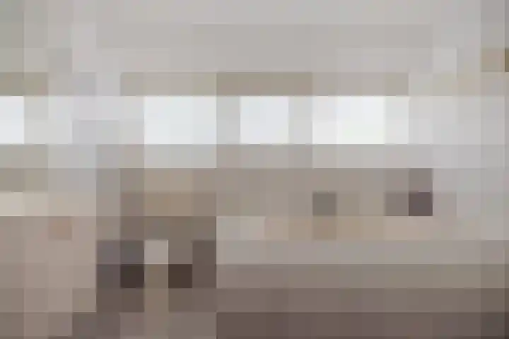 Alde Galeien 1 Boelenslaan thumbnail 25