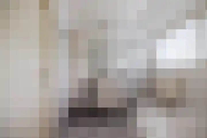 Alde Galeien 1 Boelenslaan thumbnail 26