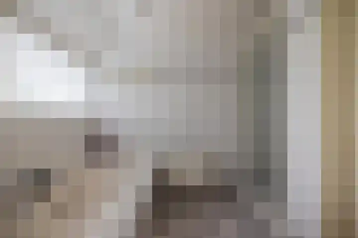 Alde Galeien 1 Boelenslaan thumbnail 27