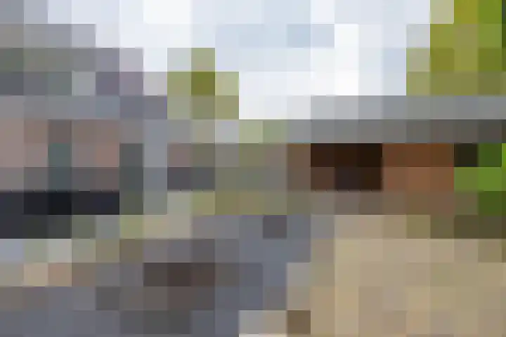 Alde Galeien 1 Boelenslaan thumbnail 35