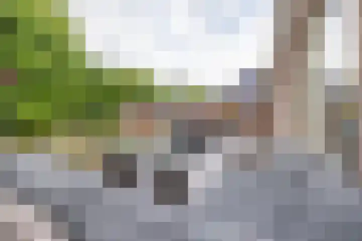Alde Galeien 1 Boelenslaan thumbnail 38