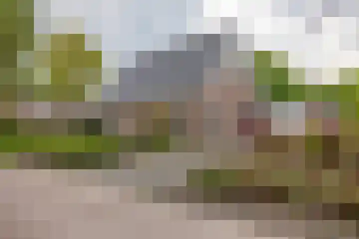 Alde Galeien 1 Boelenslaan thumbnail 4