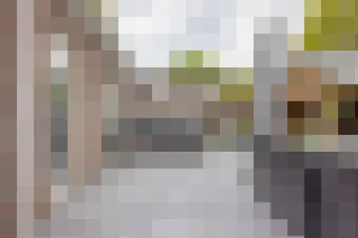 Alde Galeien 1 Boelenslaan thumbnail 40