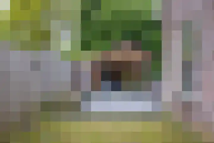 Alde Galeien 1 Boelenslaan thumbnail 41