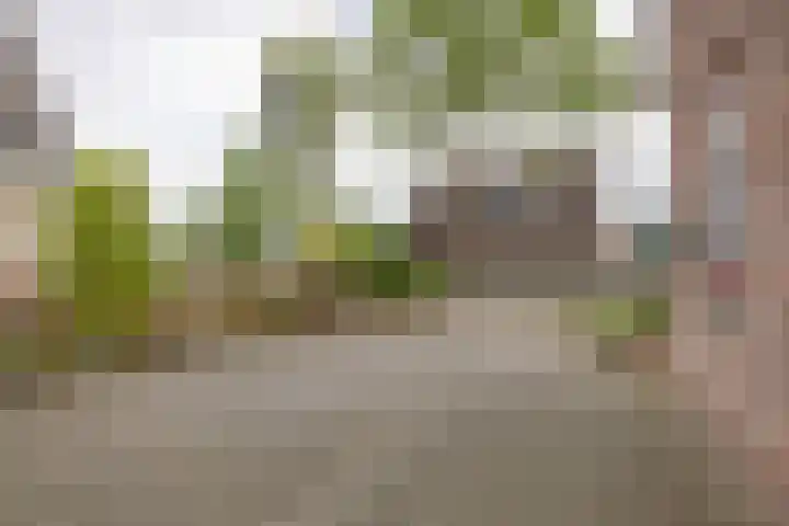 Alde Galeien 1 Boelenslaan thumbnail 43