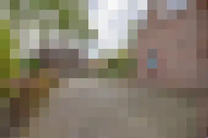 Alde Galeien 1 Boelenslaan thumbnail 44