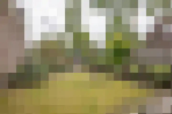 Alde Galeien 1 Boelenslaan thumbnail 46