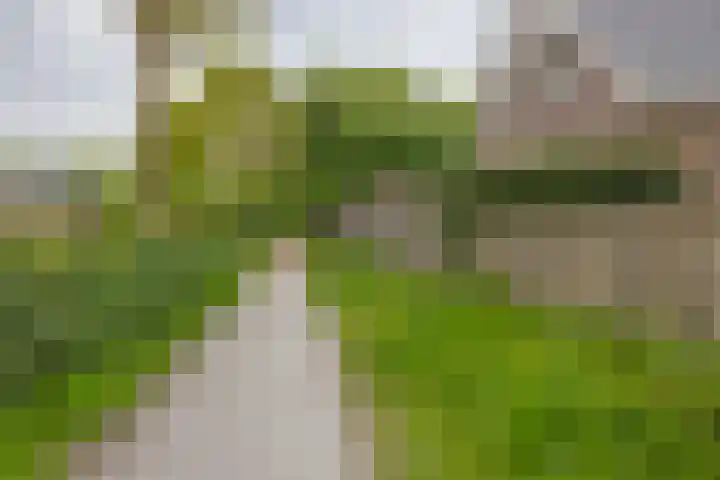 Alde Galeien 1 Boelenslaan thumbnail 47