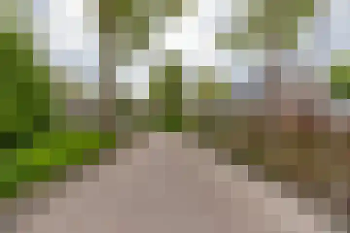 Alde Galeien 1 Boelenslaan thumbnail 49