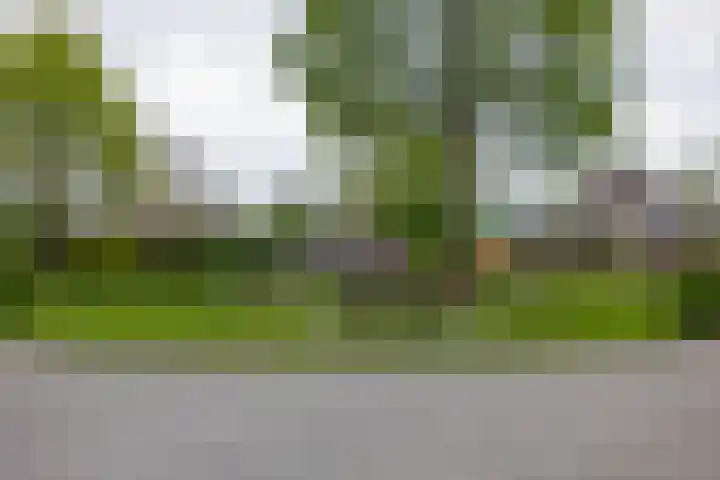 Alde Galeien 1 Boelenslaan thumbnail 50