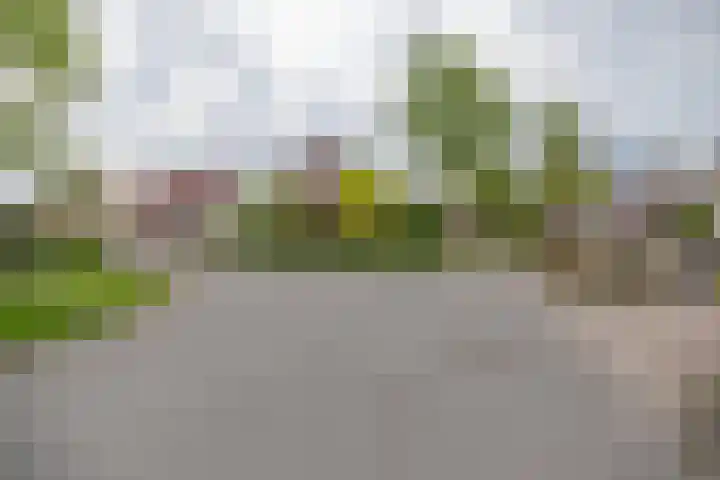Alde Galeien 1 Boelenslaan thumbnail 52