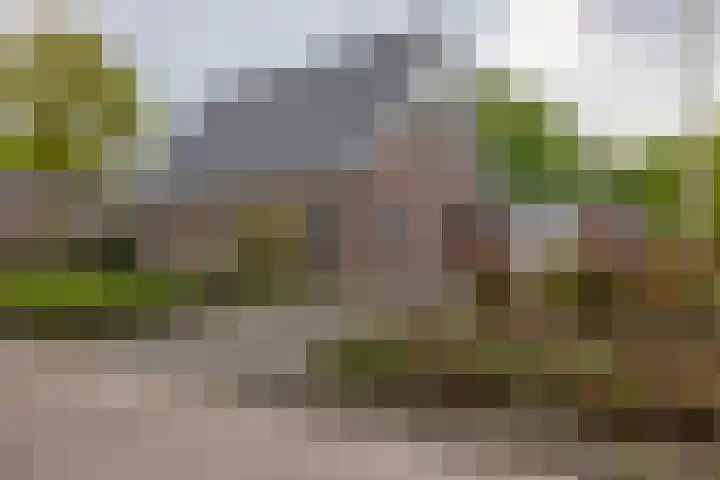 Alde Galeien 1 Boelenslaan thumbnail 59